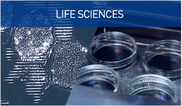 LIFE SCIENCES