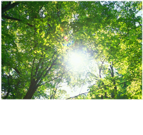 Environmental Charter & Environmental Policy