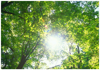 環境憲章・環境方針